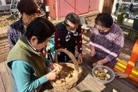 케어팜-감자, 유채꽃씨뿌리기, 상추모종심기