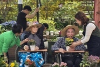 식목행사