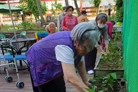 고추 모종 심기~